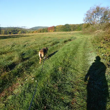 Tuendergyoengye Apartmanhaz * זירץ