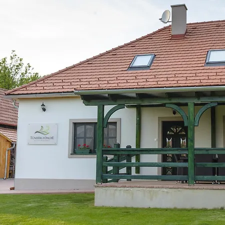 דירה Tuendergyoengye Apartmanhaz זירץ